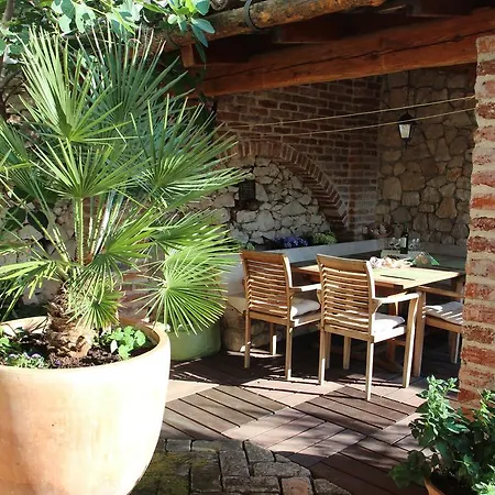 Salvia Novi Vinodolski